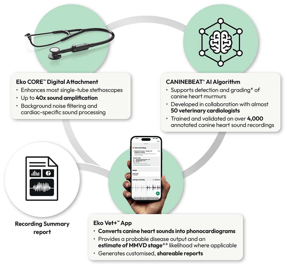 EKCBAI 3 part solution diagram