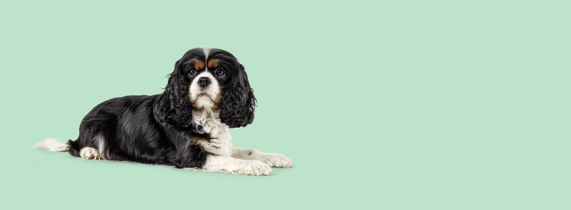 Hero Banner Overview