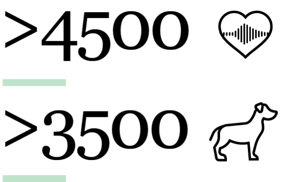 The CANINEBEAT® AI algorithm 