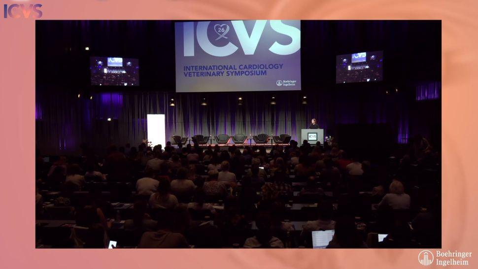 ICVS Webinar video 